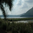 Riserva Naturale Regionale Lago di Vico - La palude
