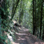 Riserva Naturale Regionale Lago di Vico
Strada di mezzo