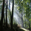 Riserva Naturale Regionale Lago di Vico